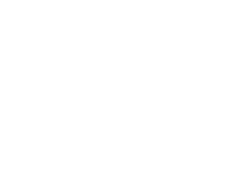 Irene Morgan Portfolio